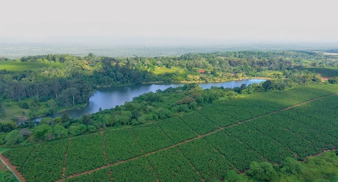 jabal;i towers for sale tatu