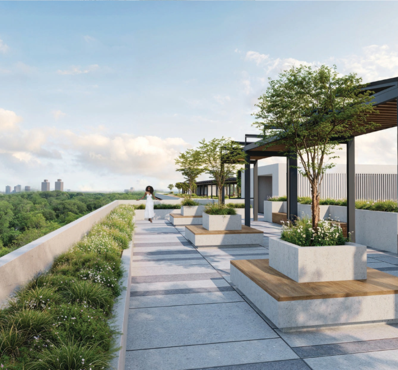 The Terraces Arboretum Nairobi