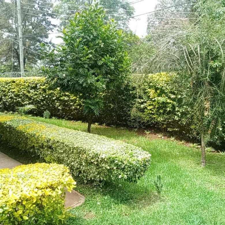 Sumba Villas Lavington Nairobi