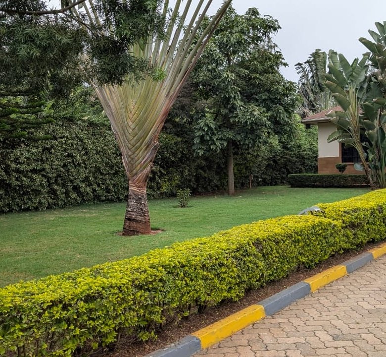 5 Bedroom All-En-suite Villa with 2 DSQs for Rent – Karen Nairobi