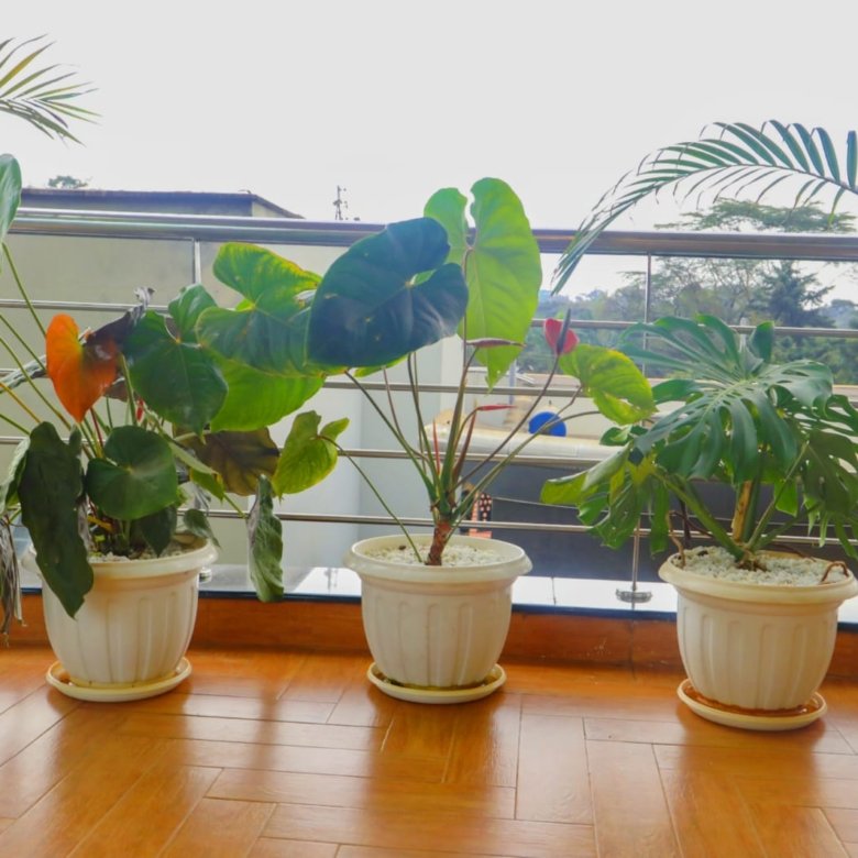 Riverside pearl Apartments Riverside Drive Dear [Client’s Name], I hope you are well. I am writing to follow up on the **outstanding agency commission** relating to the successful leasing of the property at **[Property Name / Location]**, which was concluded on **[Lease Commencement Date]**. As per our agreement, the agency fee became payable upon execution of the lease. To date, we have not yet received the payment, and I would appreciate your assistance in settling the outstanding amount of **KES [Amount Due]** at your earliest convenience. Kindly let me know when payment has been made or if there are any issues or clarifications required from my end. I value our working relationship and look forward to resolving this promptly. Thank you for your cooperation, and I appreciate your continued trust in our services. Warm regards, **Antony Joshua** 📞 Phone / WhatsApp: [Your Number] 🏢 Company: [Your Company Name] 🌐 Website: [Your Website] --- If you’d like, I can also provide: * A **softer reminder version** (friendly nudge) * A **firmer final notice** version * A **WhatsApp follow-up message** aligned with this email