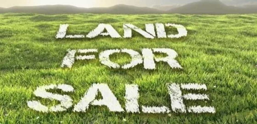 requirements for land search in Kenya