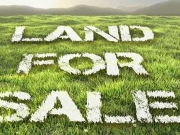 requirements for land search in Kenya