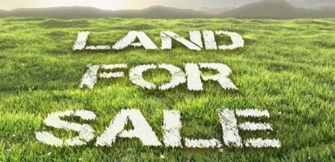 requirements for land search in Kenya
