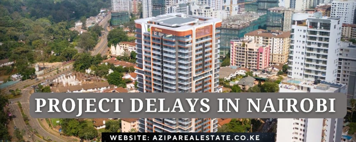 Project delays