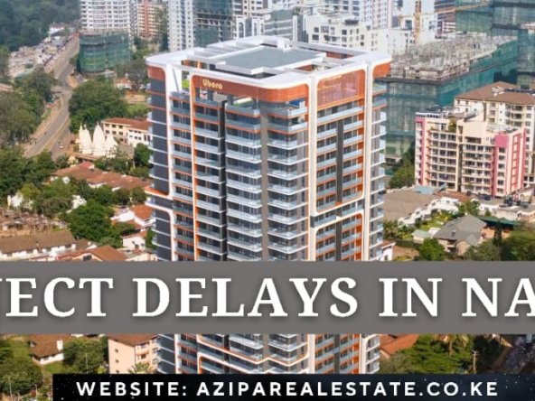 Project delays